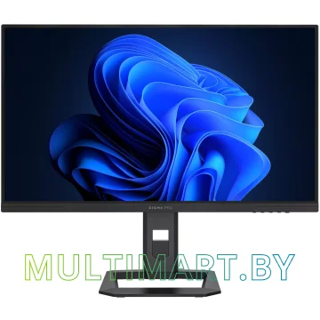 Монитор Digma Pro Action M (DM27SP07)